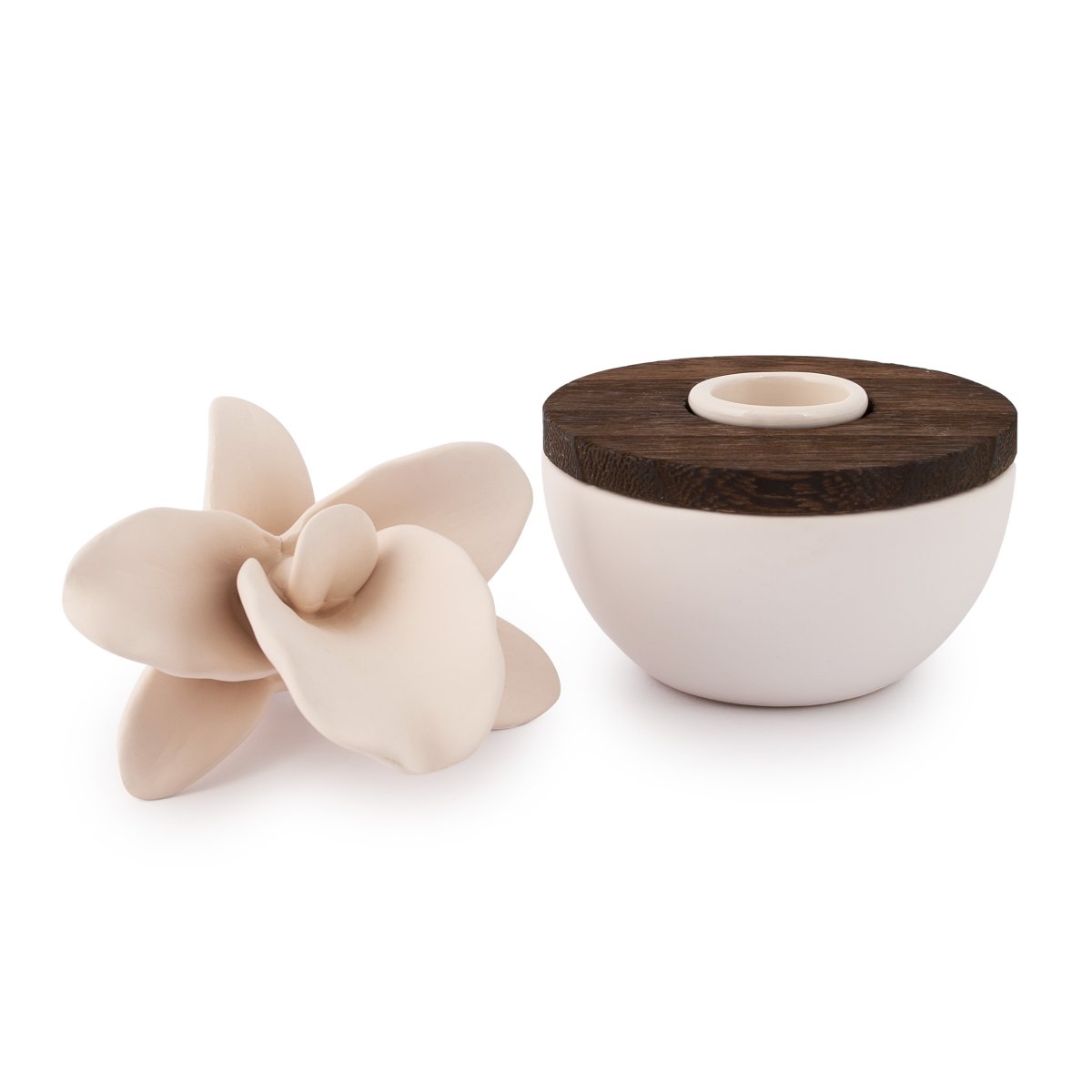 pajoma Raumduft Bambus mit Gipsblüte Flora, 50 ml dekorativer Raumduft – Bild 4